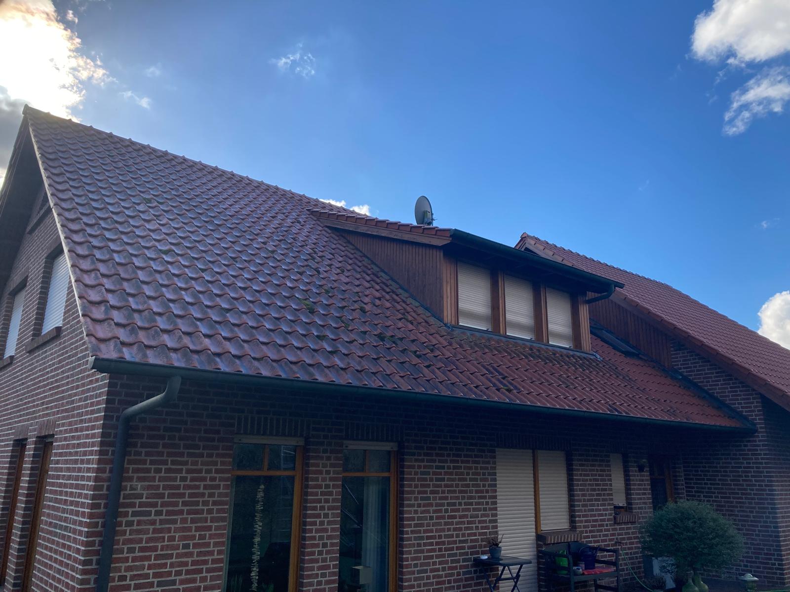 Dachreinigung Vorher